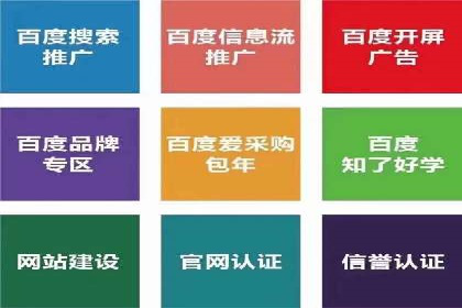 某电商平台的SEM服务全解析